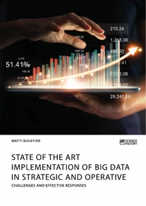 Titel: State of the Art Implementation of Big Data in Strategic and Operative Marketing. Challenges and Effective Responses