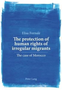 Title: The protection of human rights of irregular migrants