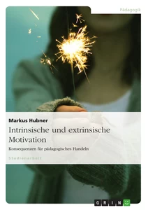 Titel: Intrinsische und extrinsische Motivation. Konsequenzen für pädagogisches Handeln