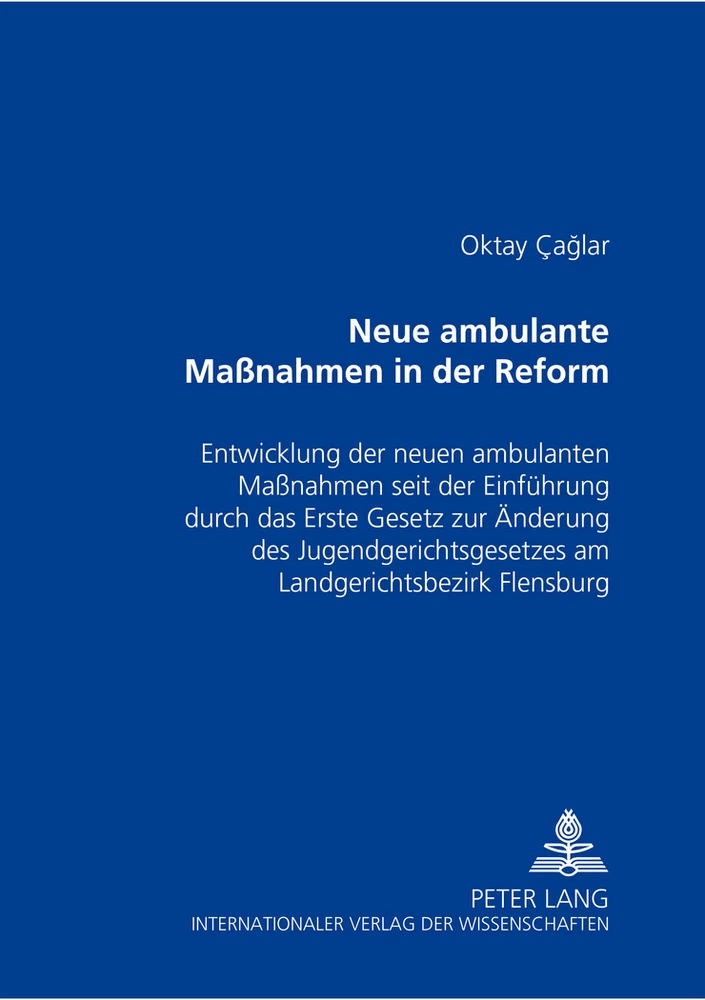 Titel: Neue ambulante Maßnahmen in der Reform