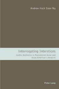 Title: Interrogating Interstices