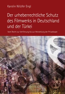 Titel: Der urheberrechtliche Schutz des Filmwerks in Deutschland und der Türkei