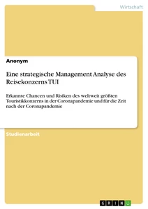 Titel: Eine strategische Management Analyse des Reisekonzerns TUI