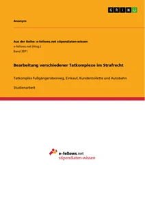 Titel: Bearbeitung verschiedener Tatkomplexe im Strafrecht