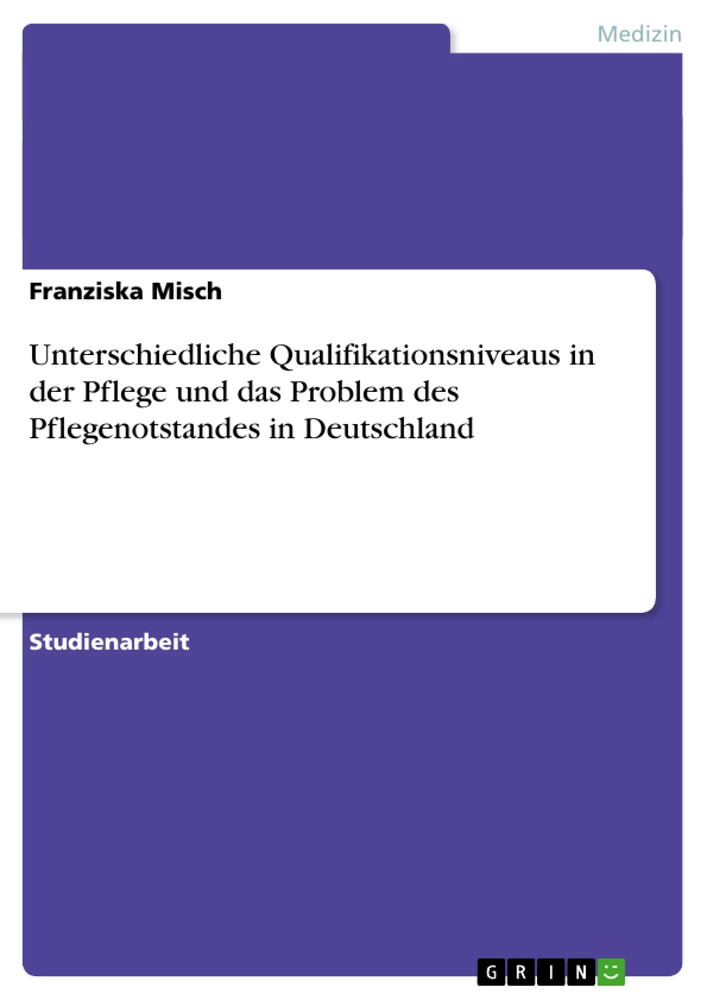 Titel: Unterschiedliche Qualifikationsniveaus in der Pflege und das Problem des Pflegenotstandes in Deutschland