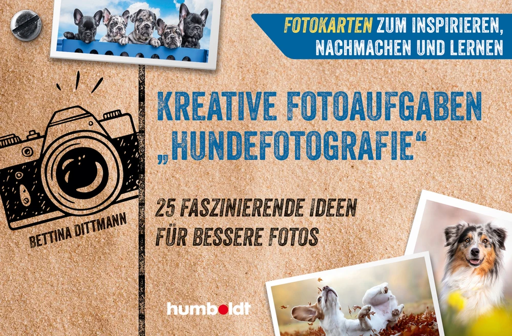 Titel: Fotokarten. Kreative Fotoaufgaben "Hundefotografie"