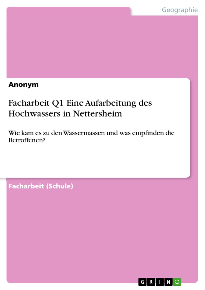 Titel: Facharbeit Q1 Eine Aufarbeitung des Hochwassers in  Nettersheim