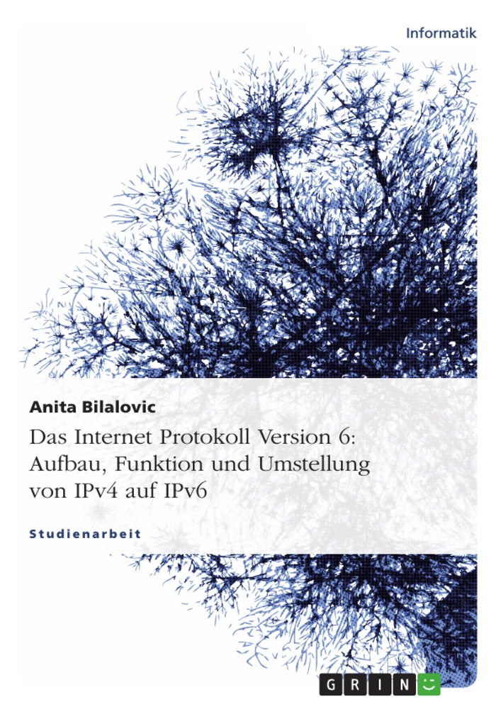 Titel: Das Internet Protokoll Version 6: Aufbau, Funktion und Umstellung von IPv4 auf IPv6