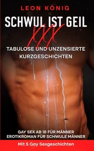 Titel: Schwul ist geil XXX - Tabulose Kurzgeschichten