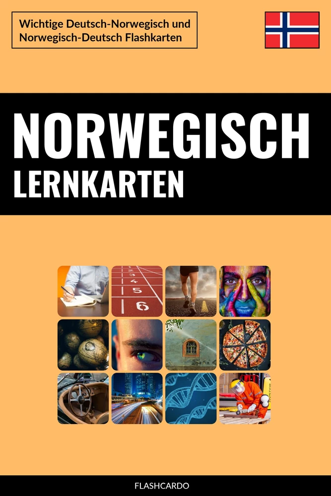 Titel: Norwegisch Lernkarten