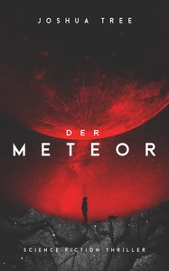Titel: Der Meteor