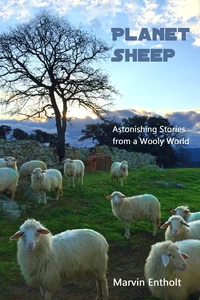 Titel: Planet Sheep
