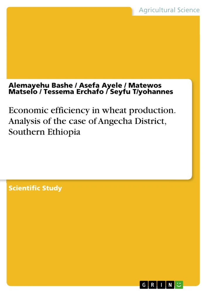 Title: Economic efficiency in wheat production. Analysis of the case of Angecha District, Southern Ethiopia