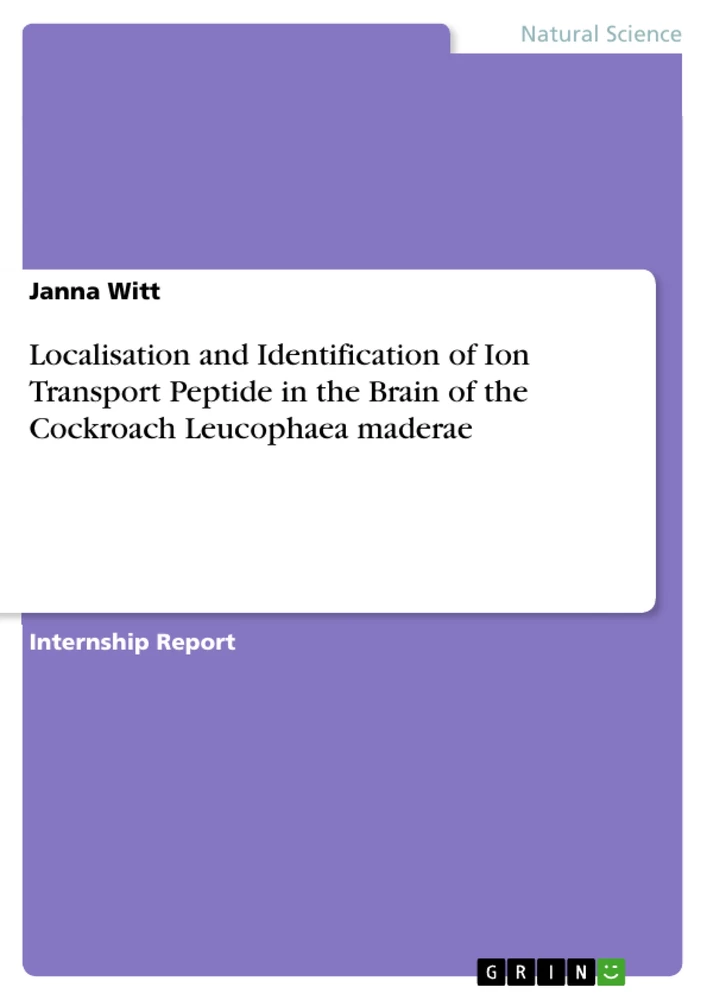 Titre: Localisation and Identification of Ion Transport Peptide in the Brain of the Cockroach Leucophaea maderae