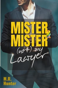 Titel: Mister & Mister: (Not) My Lawyer