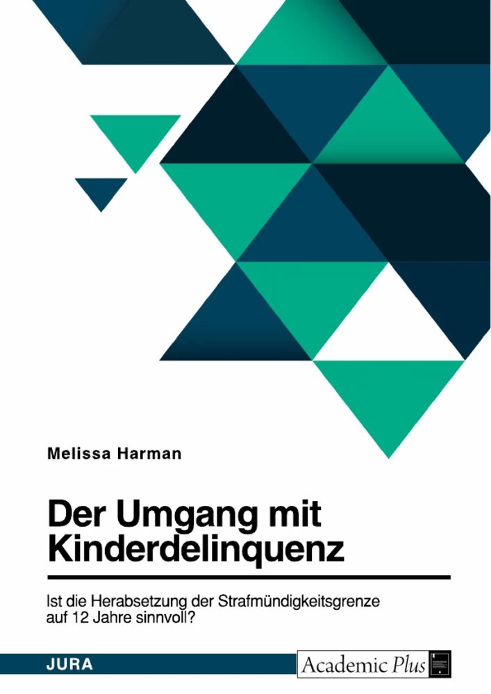 Titel: Die Diskussion um die Herabsetzung der Strafmündigkeitsgrenze auf 12 Jahre in Deutschland