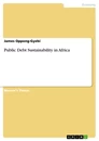 Titel: Public Debt Sustainability in Africa