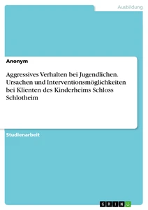 Titel: Aggressives Verhalten bei Jugendlichen. Ursachen und Interventionsmöglichkeiten bei Klienten des Kinderheims Schloss Schlotheim