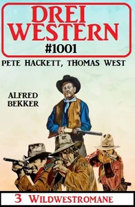 Titel: Drei Western 1001