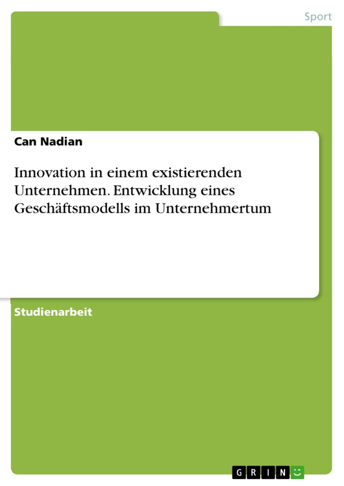 Título: Innovation in einem existierenden Unternehmen. Entwicklung eines Geschäftsmodells im Unternehmertum