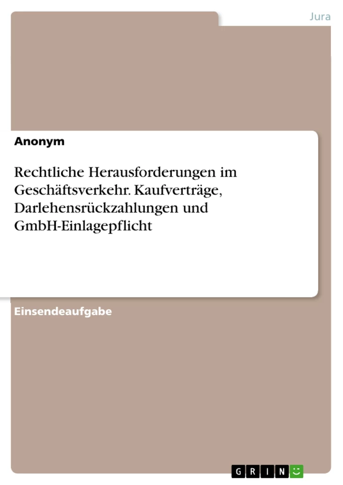 Titre: Rechtliche Herausforderungen im Geschäftsverkehr. Kaufverträge, Darlehensrückzahlungen und GmbH-Einlagepflicht