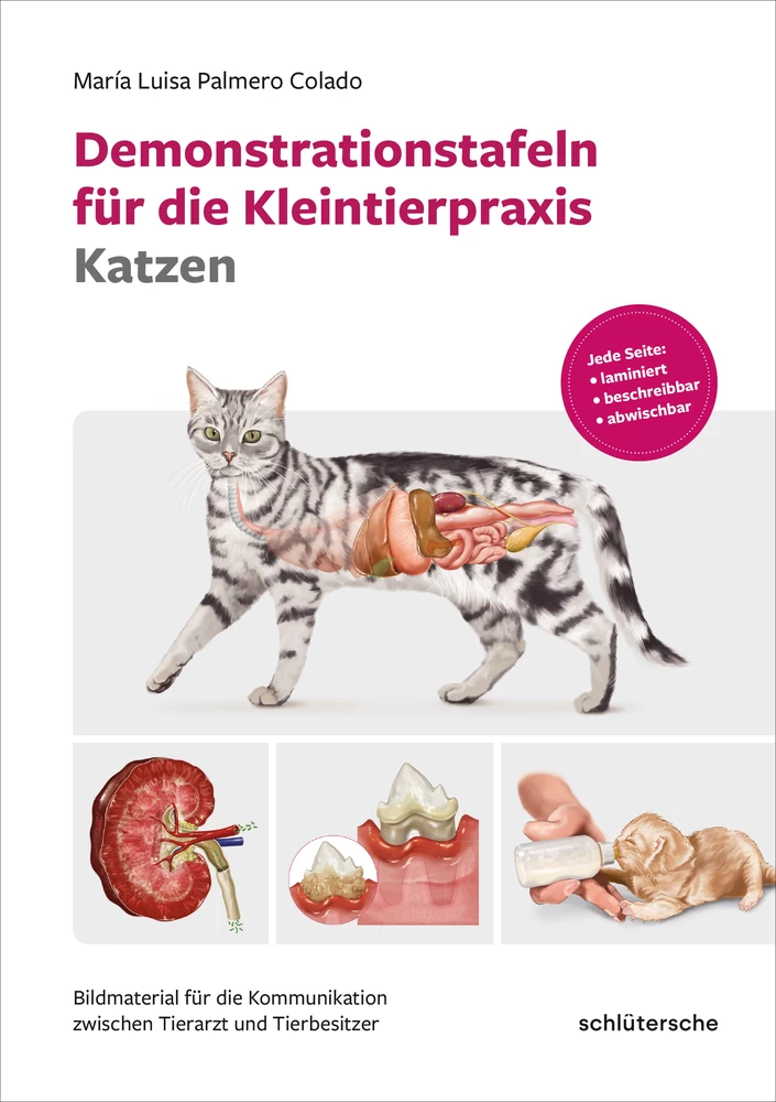 Titel: Demonstrationstafeln für die Kleintierpraxis Katzen