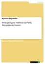 Title: Principal-Agent Problems in Public Enterprises in Kosovo