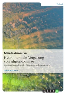 Title: Hydrothermale Vergasung von Algenbiomasse