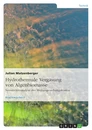 Titel: Hydrothermale Vergasung von Algenbiomasse