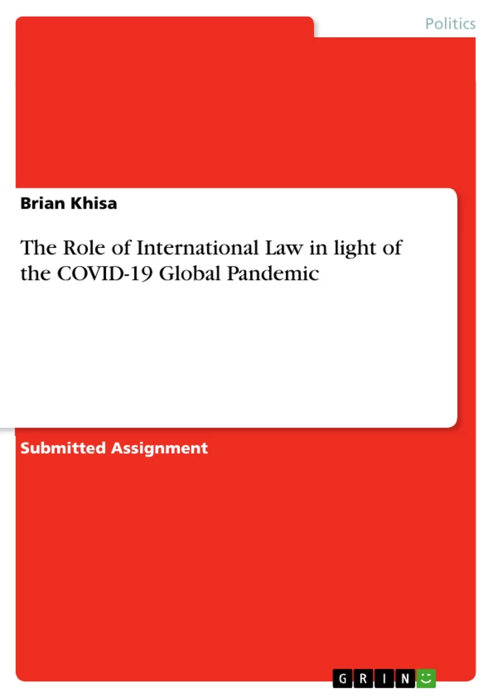 Title: The Role of International Law in light of the COVID-19 Global Pandemic