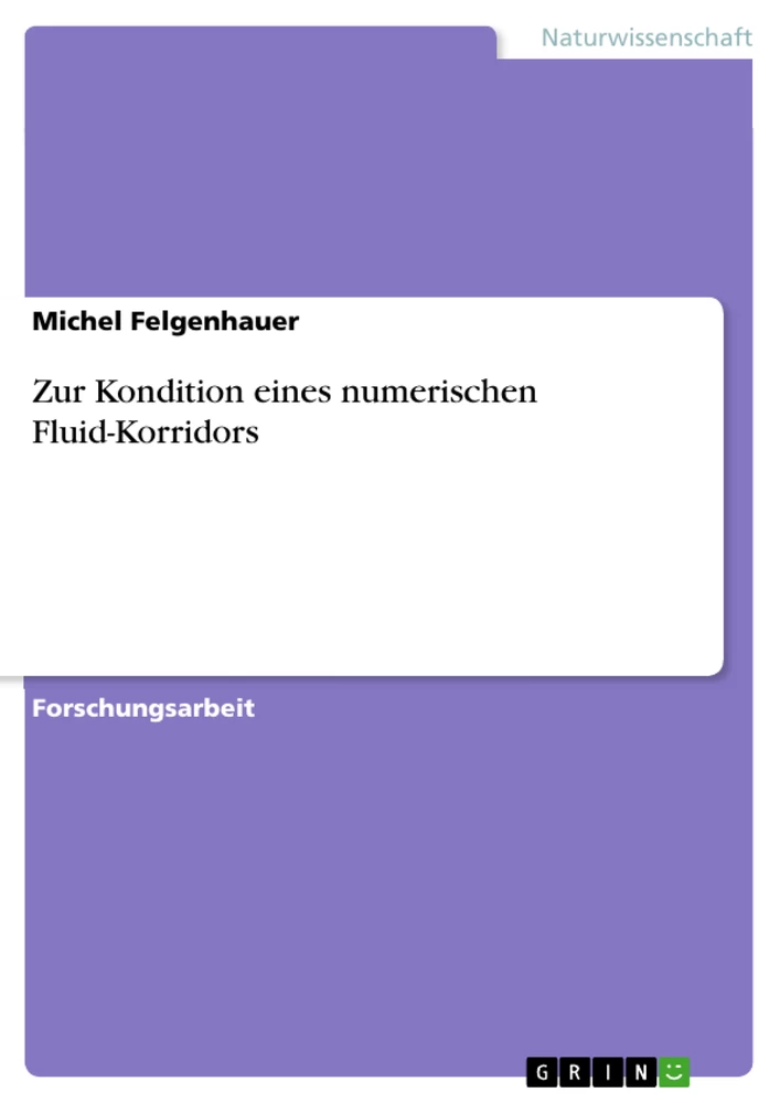 Title: Zur Kondition eines numerischen Fluid-Korridors