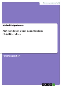 Título: Zur Kondition eines numerischen Fluid-Korridors