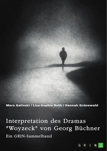 Titel: Interpretation des Dramas "Woyzeck" von Georg Büchner. Verschiedene Ansätze