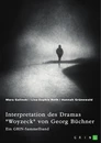 Title: Interpretation des Dramas "Woyzeck" von Georg Büchner. Verschiedene Ansätze