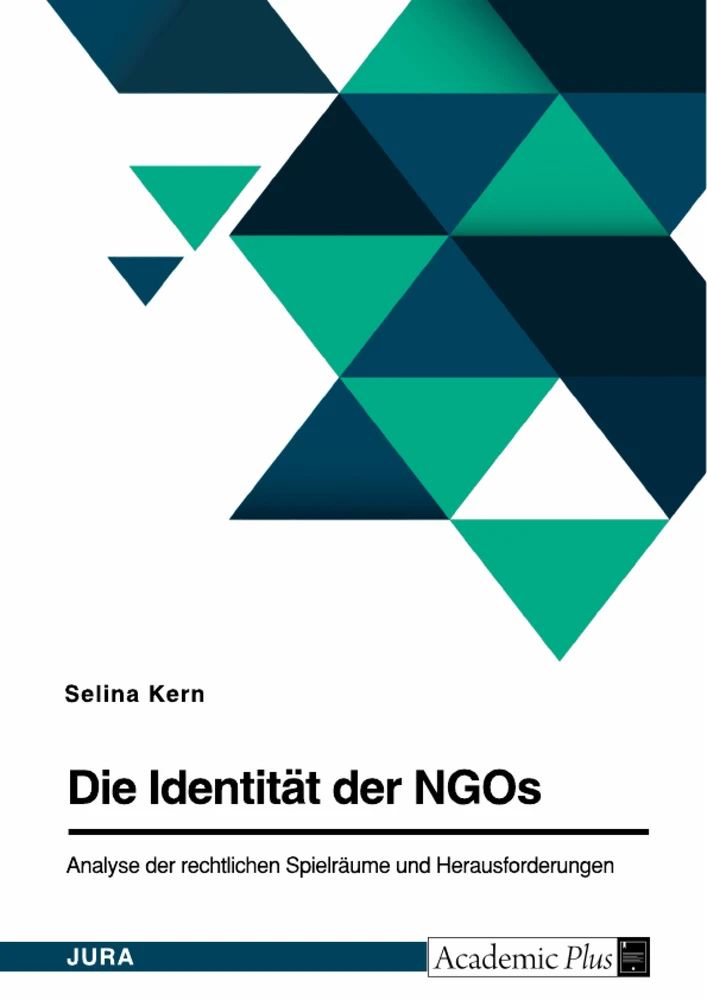 Titel: Die Identität der NGOs. Analyse der rechtlichen Spielräume und Herausforderungen