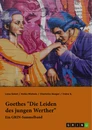 Titre: Goethes "Die Leiden des jungen Werther". Interpretationsansätze zu Struktur, Gattung und Motivik