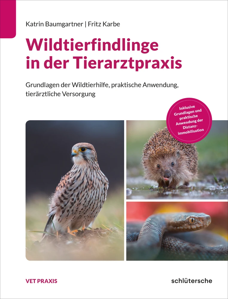 Titel: Wildtierfindlinge in der Tierarztpraxis