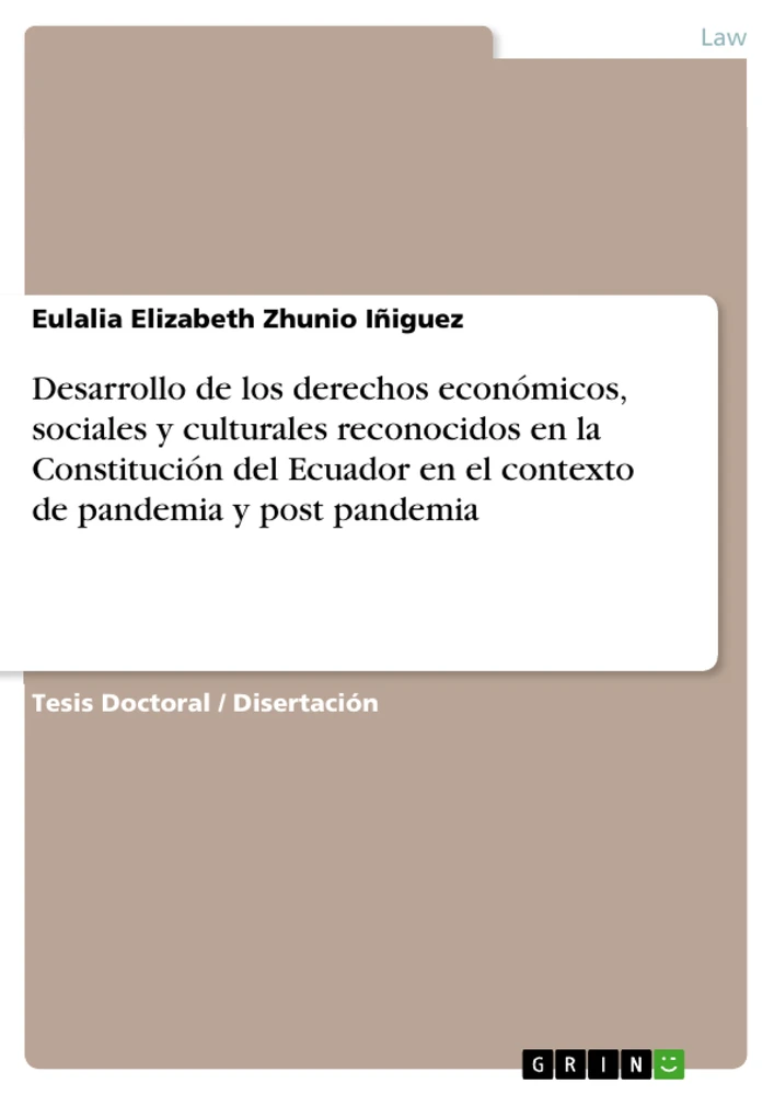 Title: Desarrollo de los derechos económicos, sociales y culturales reconocidos en la Constitución del Ecuador en el contexto de pandemia y post pandemia