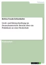 Titel: Groß- und Kleinschreibung im Deutschunterricht. Bericht über ein Praktikum an einer Realschule