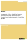 Title: An Analysis of How H&M Can Improve Their Sustainability Despite the Fast Fashion Trend by Following the Three-Pillar Model