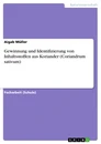 Titel: Gewinnung und Identifizierung von Inhaltsstoffen aus Koriander (Coriandrum sativum)