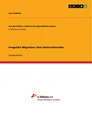 Title: Irreguläre Migration. Eine Unterrichtsreihe
