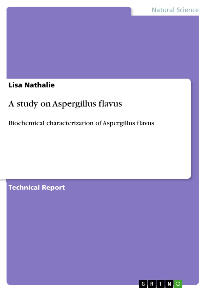 Title: A study on Aspergillus flavus