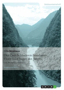 Titre: Der Drei-Schluchten-Staudamm: Fluch oder Segen des Jangtse
