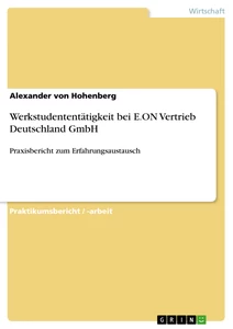 Title: Werkstudententätigkeit bei E.ON Vertrieb Deutschland GmbH