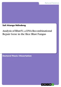 Title: Analysis of Rhm51, a DNA Recombinational Repair Gene in the  Rice Blast Fungus