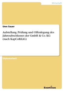 Titel: Aufstellung, Prüfung und Offenlegung des Jahresabschlusses der GmbH & Co. KG (nach KapCoRiLiG)