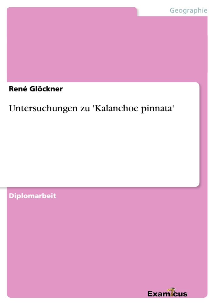 Título: Untersuchungen zu 'Kalanchoe pinnata'