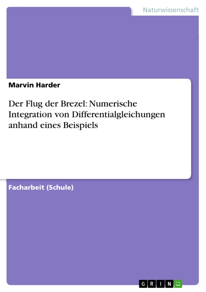 Titel: Der Flug der Brezel: Numerische Integration von Differentialgleichungen anhand eines Beispiels