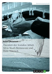 Titel: Theorien der Sozialen Arbeit: Silvia Staub-Bernasconi und Hans Thiersch